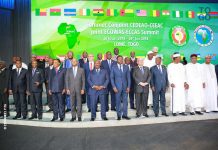 Les charognards de la CEDEAO et de l’Afrique centrale | Photo : DR