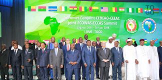 Les charognards de la CEDEAO et de l’Afrique centrale | Photo : DR